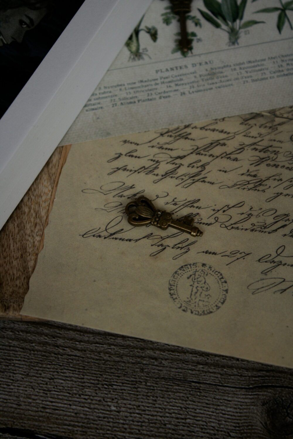 The History of Notaries